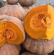 Bí đỏ Hồng Trị